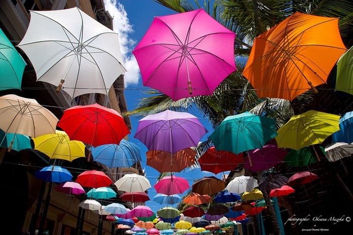 Colorful umbrellas hanging over a street