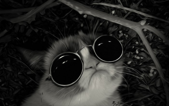 Cat wearing sunglasses in black and white