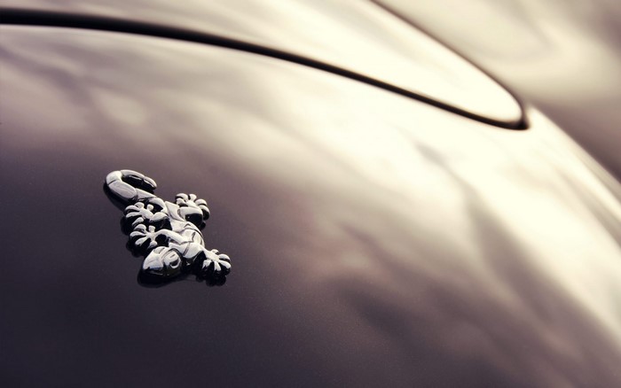 Close up of a chrome lizard emblem on a car