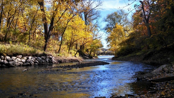 Autumn forest with a river and a bridge