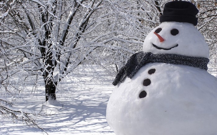 Snowman in a snowy forest