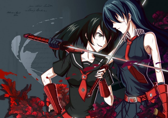 Akame and Kurome from Akame ga Kill with swords