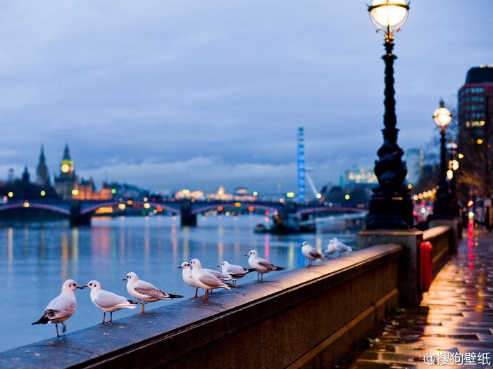 London skyline with seagulls on a pier at dusk