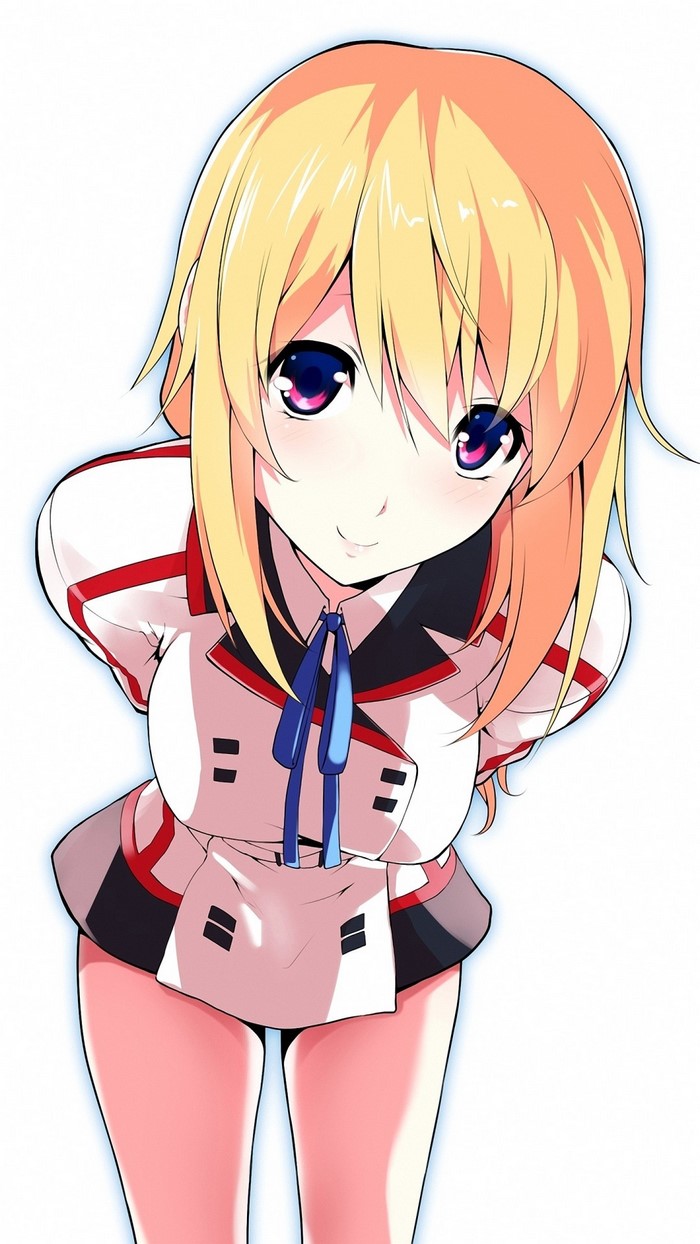 Charlotte Dunois from Infinite Stratos