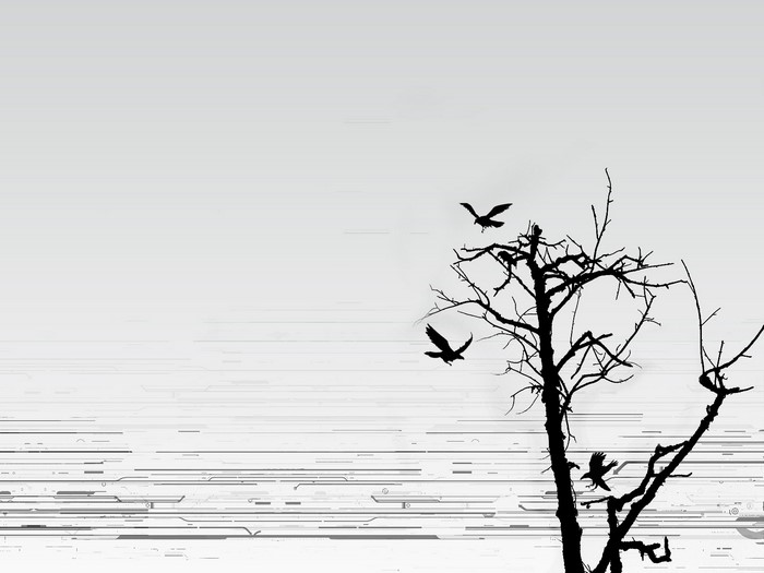 Silhouette of a bare tree with birds flying