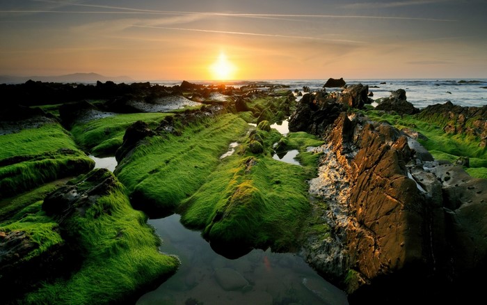 Sunset over moss-covered rocks on a rocky shore