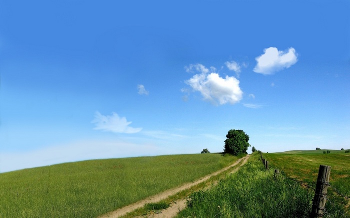 Dirt road through a green field under a blue sky