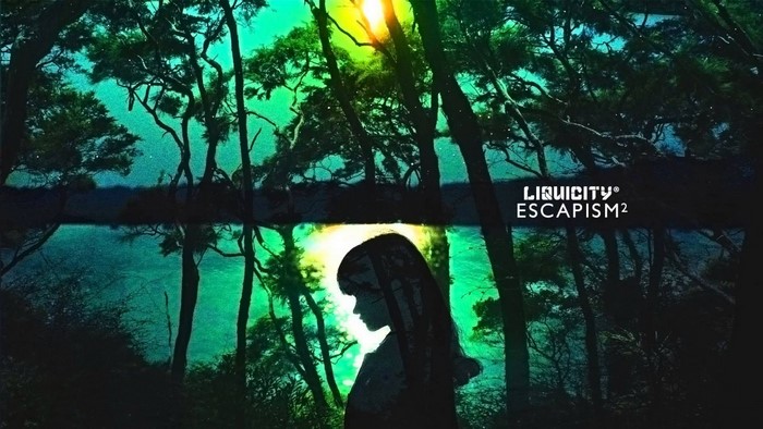 Liquicity Escapism 2 Album Cover