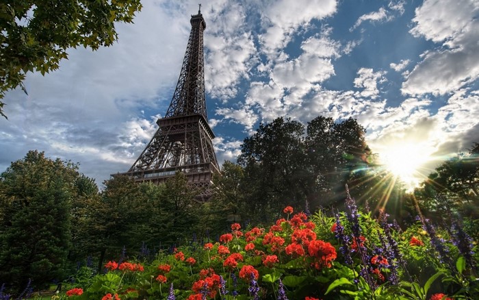 Eiffel Tower with flowers and sun rays