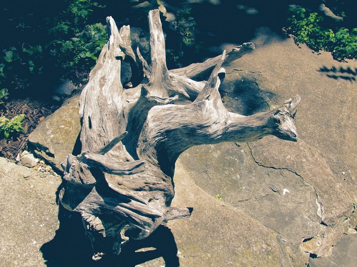 Driftwood sculpture on concrete and rocks