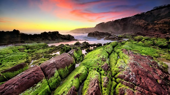 Mossy rocks on a rocky shore at sunset