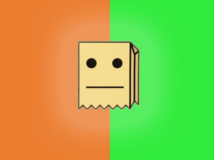 Mr Fijiwiji logo illustration