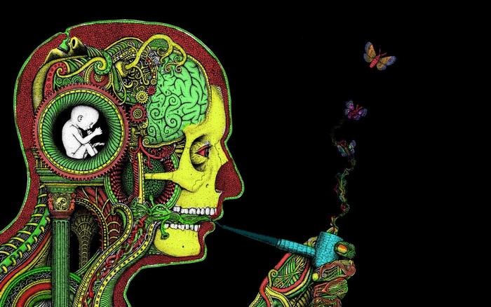 Psychedelic illustration of a human head with a fetus and butterflies