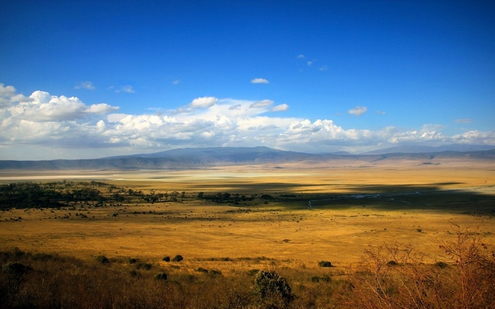Vast savanna landscape under a blue sky with clouds