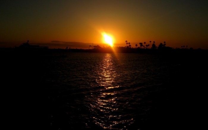 Sunset over the ocean with palm trees and a ship