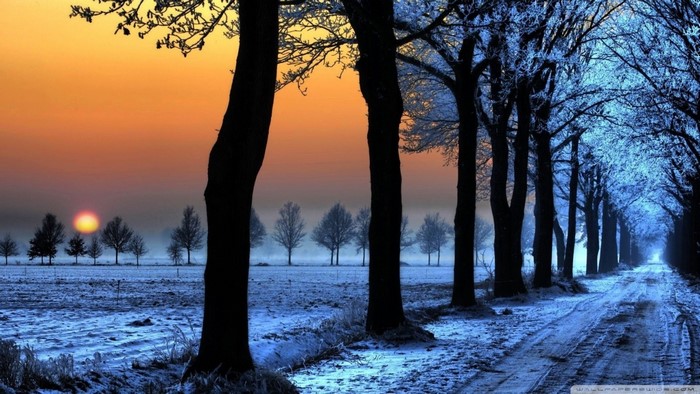 Winter sunset over a snowy field with trees