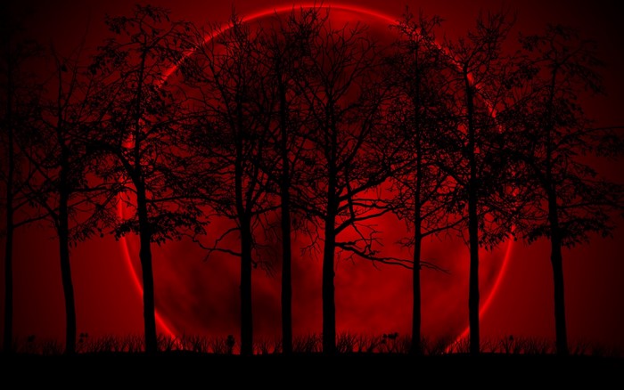 Silhouetted trees against a red moon