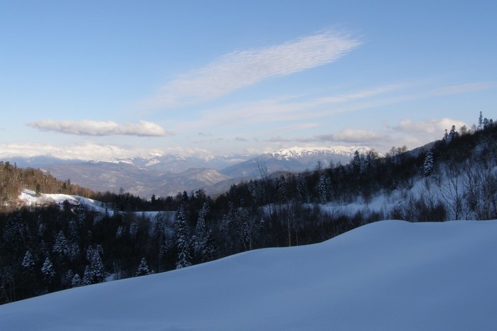 Snowy mountain landscape with pine trees and clouds