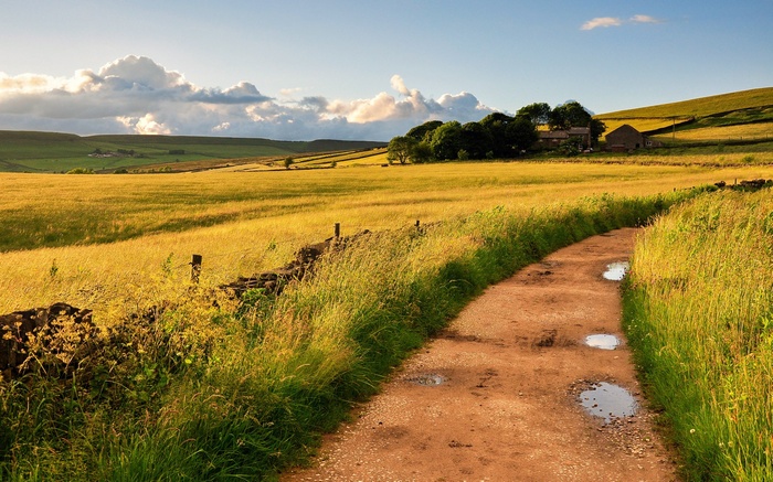 Dirt path through a golden field with farm buildings