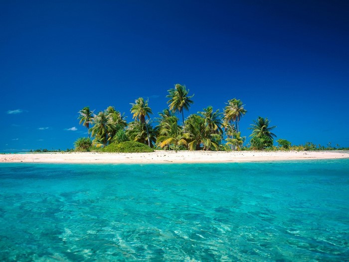 Tropical island with palm trees and turquoise water