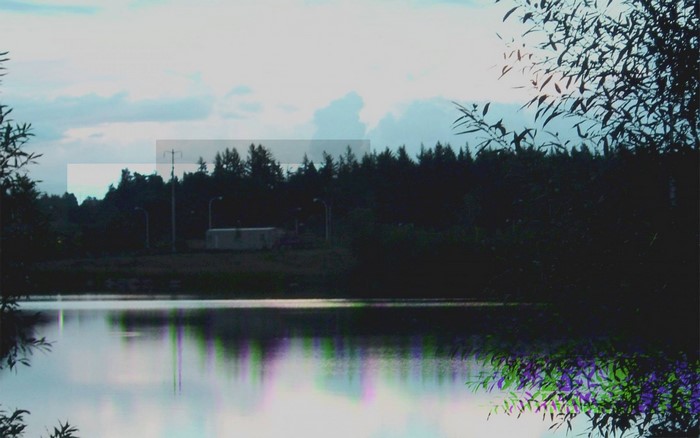 Lake reflection with trees and sky