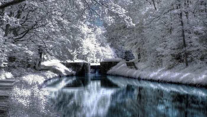 Infrared canal with trees and lock