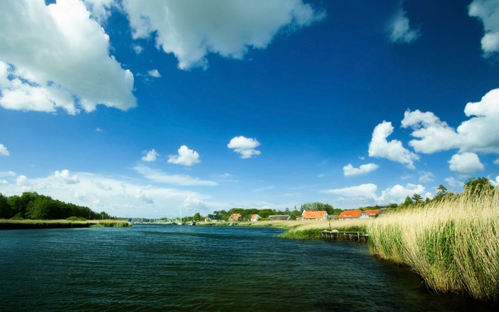 River with houses and reeds under a blue sky