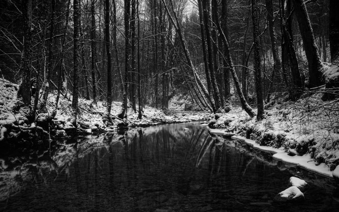 Monochrome forest with a river in winter