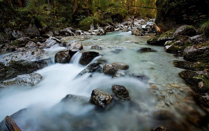 A rocky stream flows through a forest with moss-covered rocks.