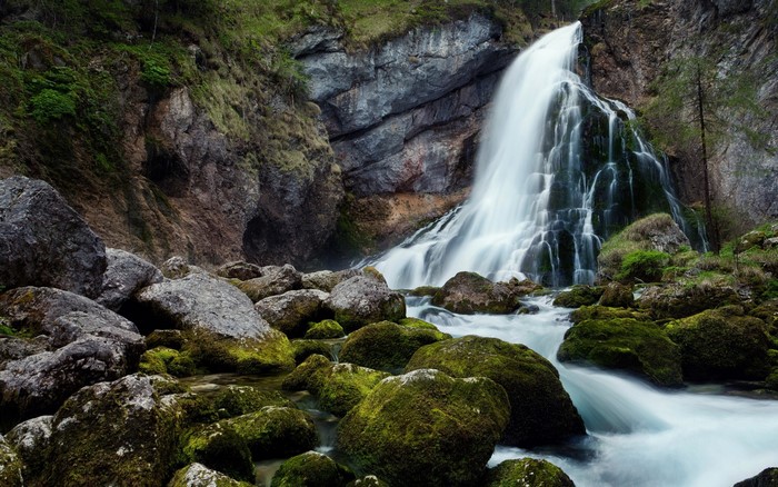 Waterfall cascading over mossy rocks in a forest