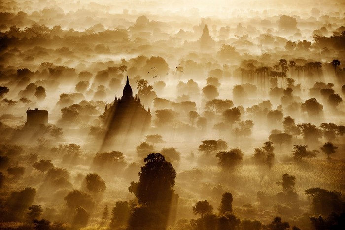 Temples and trees in morning mist, Bagan, Myanmar