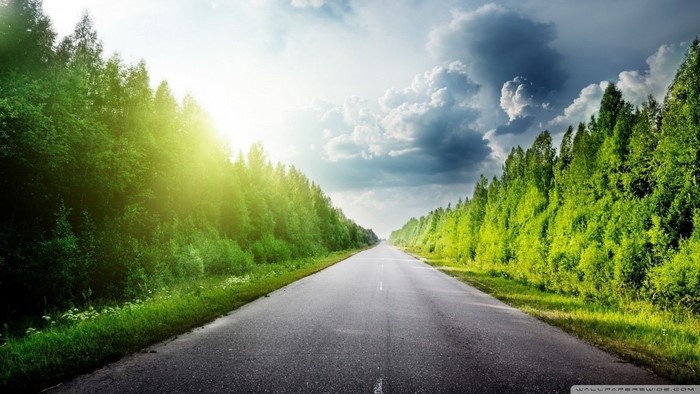 Road through a forest with sunlight and clouds
