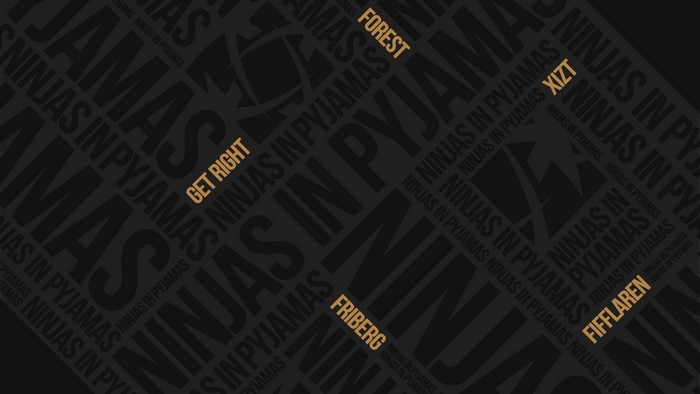 Ninjas In Pyjamas CS:GO players text illustration