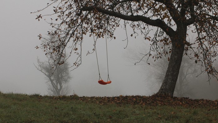 Orange swing hanging from a tree in the mist