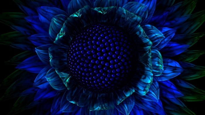 Close-up of a blue and green fractal flower