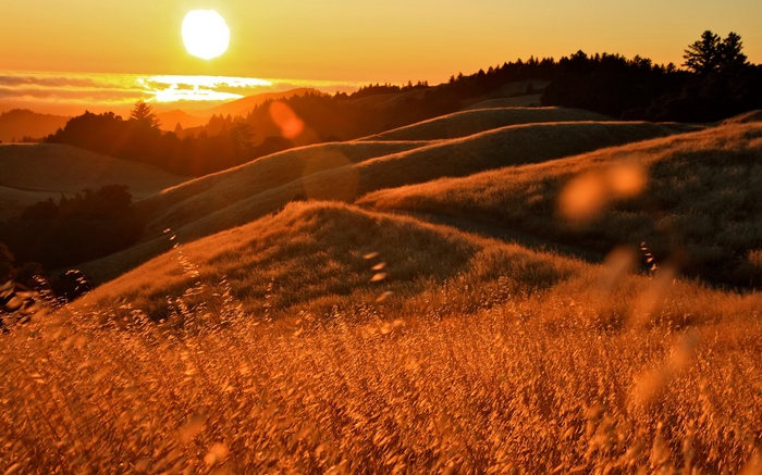 Golden hills at sunset with sun and clouds