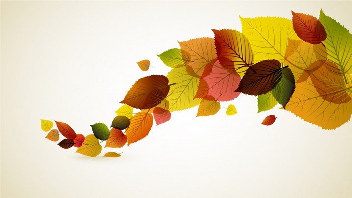 Autumn leaves illustration with fall colors