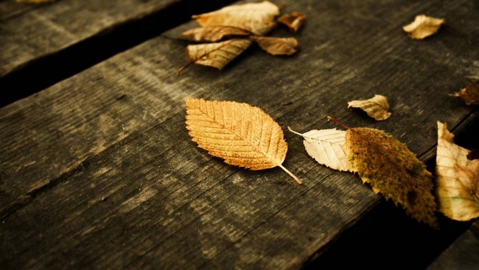 Autumn leaves on a wooden surface