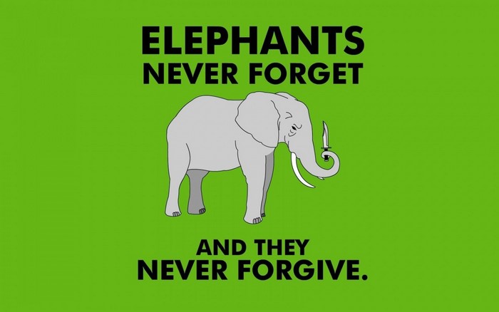 Elephant with a knife in its trunk