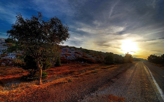 Road through a rocky landscape at sunset
