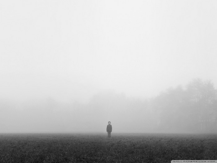 Person standing in a foggy field