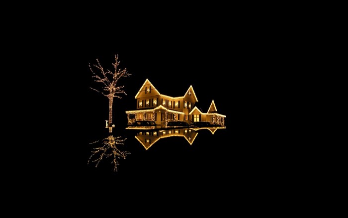House and tree decorated with Christmas lights at night