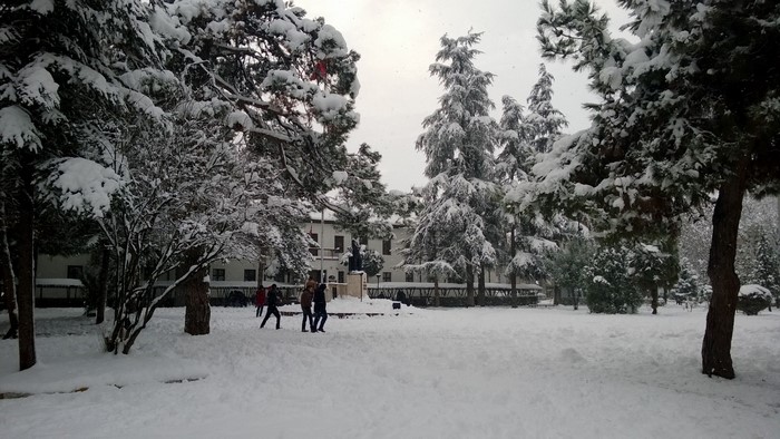 People walking in a snowy park with trees and a building