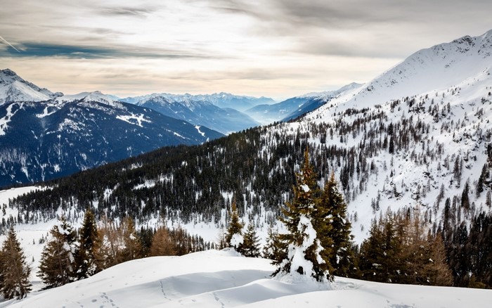 Snowy mountains and pine trees in the Alps