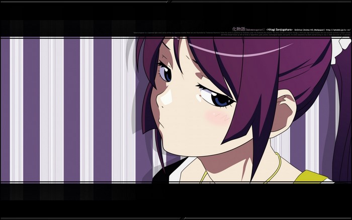 Hitagi Senjougahara from Monogatari Series