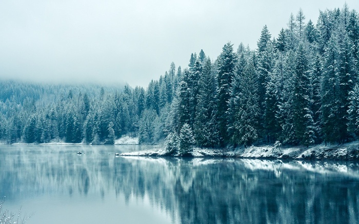 Snow-covered forest reflected in a calm lake