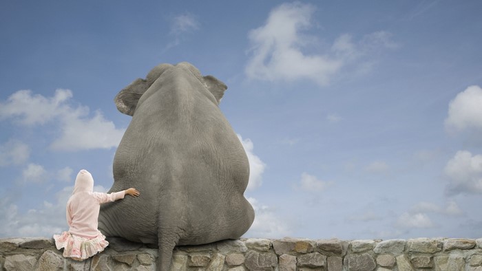 Girl and elephant sitting on a stone wall