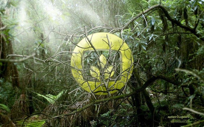 Yellow logo with leaves in a forest