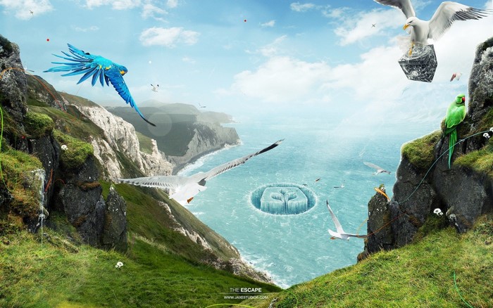 Digital art of parrots and seagulls over a fjord