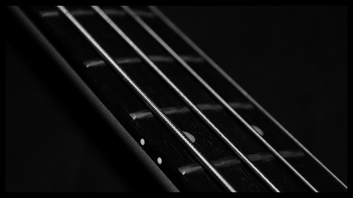 Close-up of a bass guitar fretboard with strings